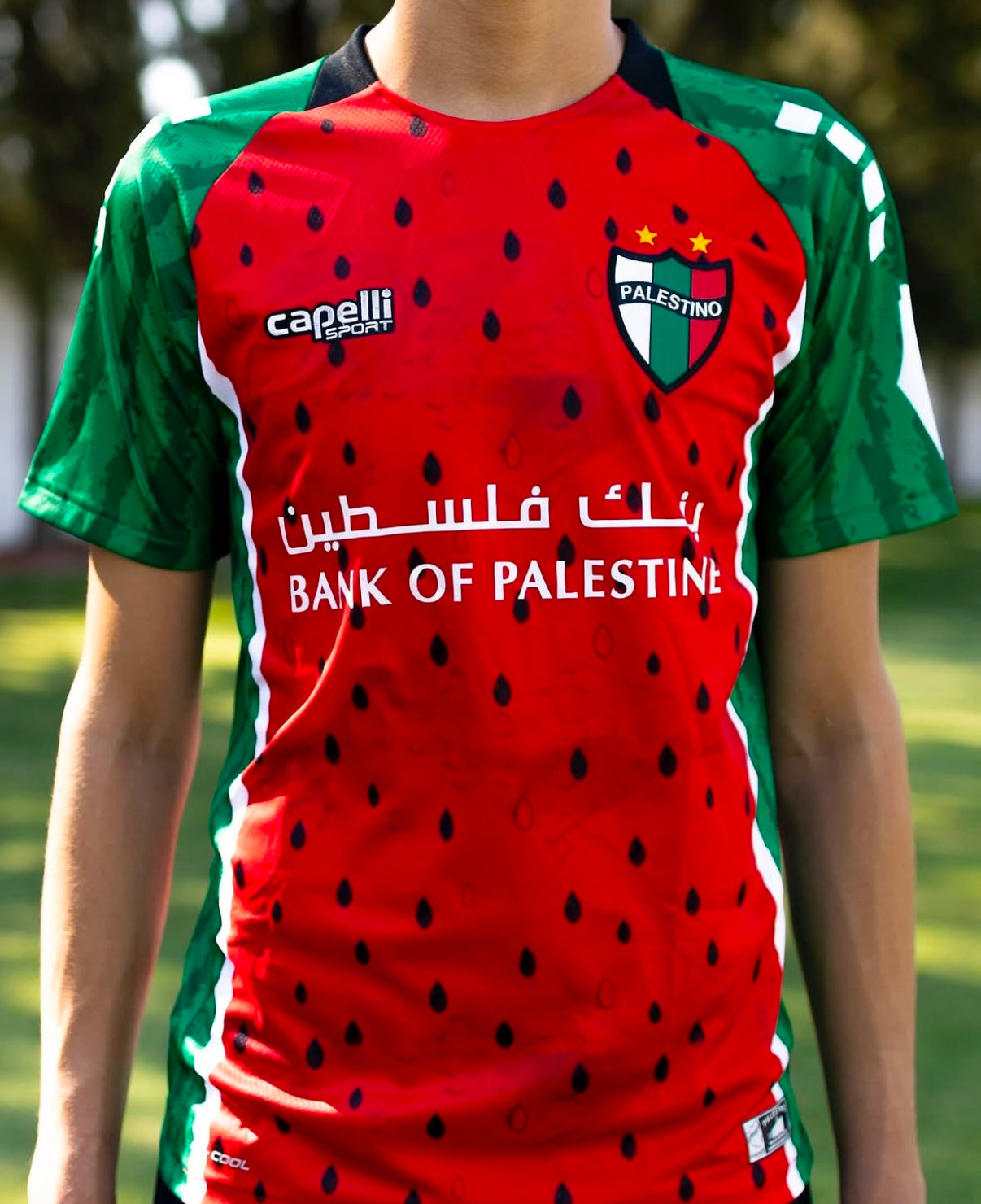 Camiseta de fútbol Sandía Palestina Pelestino 2025/2026