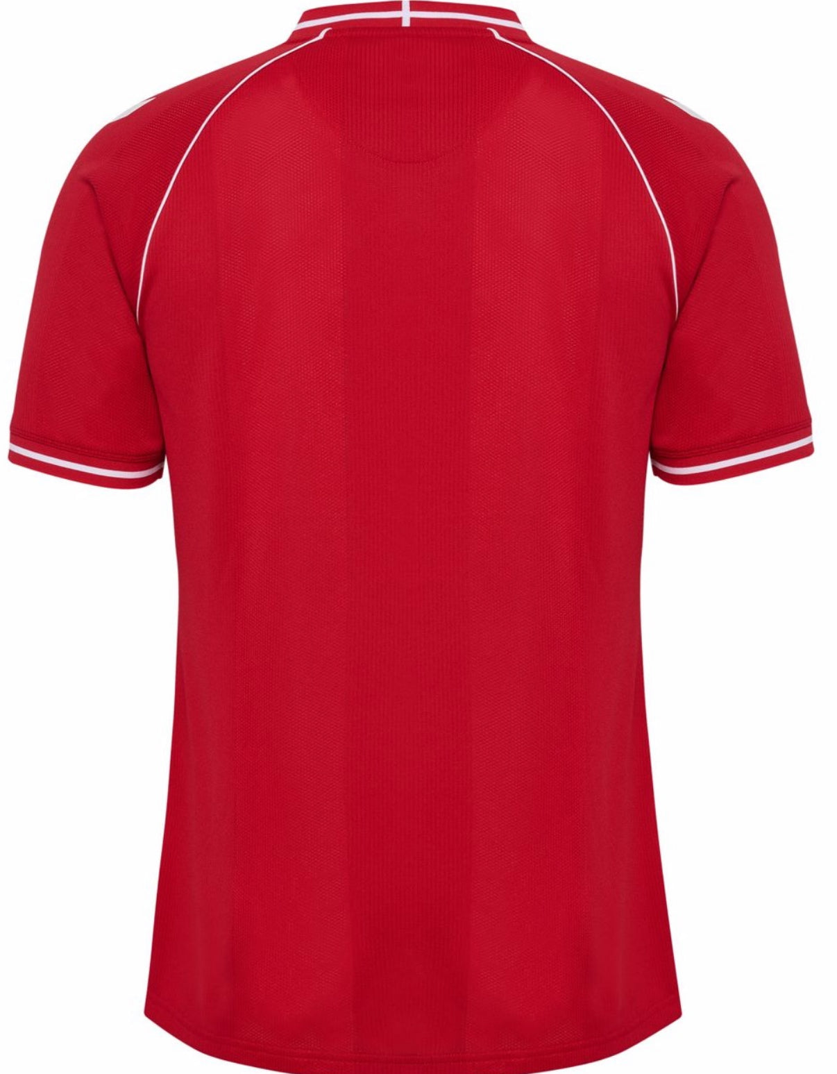 Camiseta Dinamarca Copa del Mundo 2026