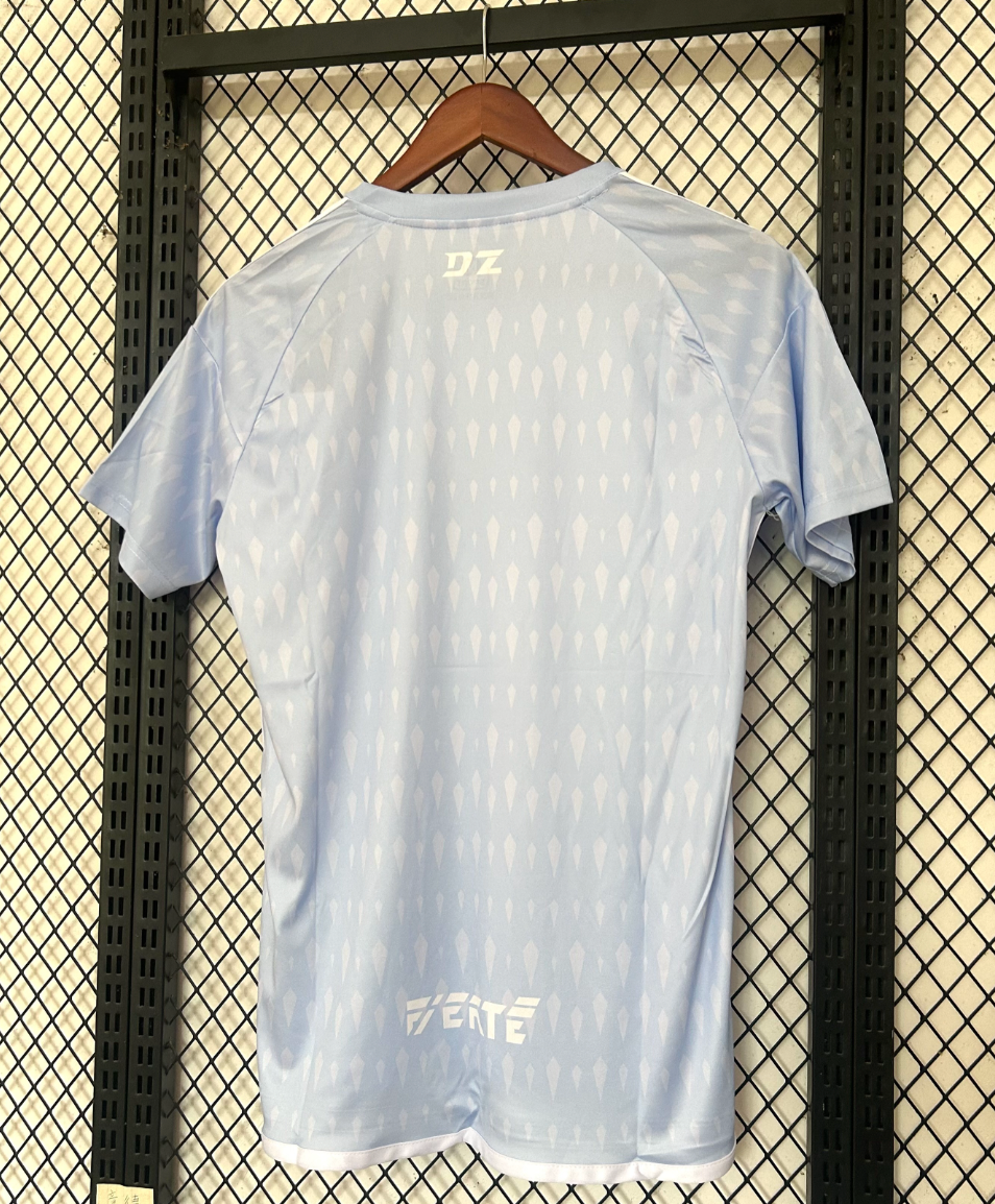 Algerien DZ x Palästina Sonderedition Trikot 2025/2026