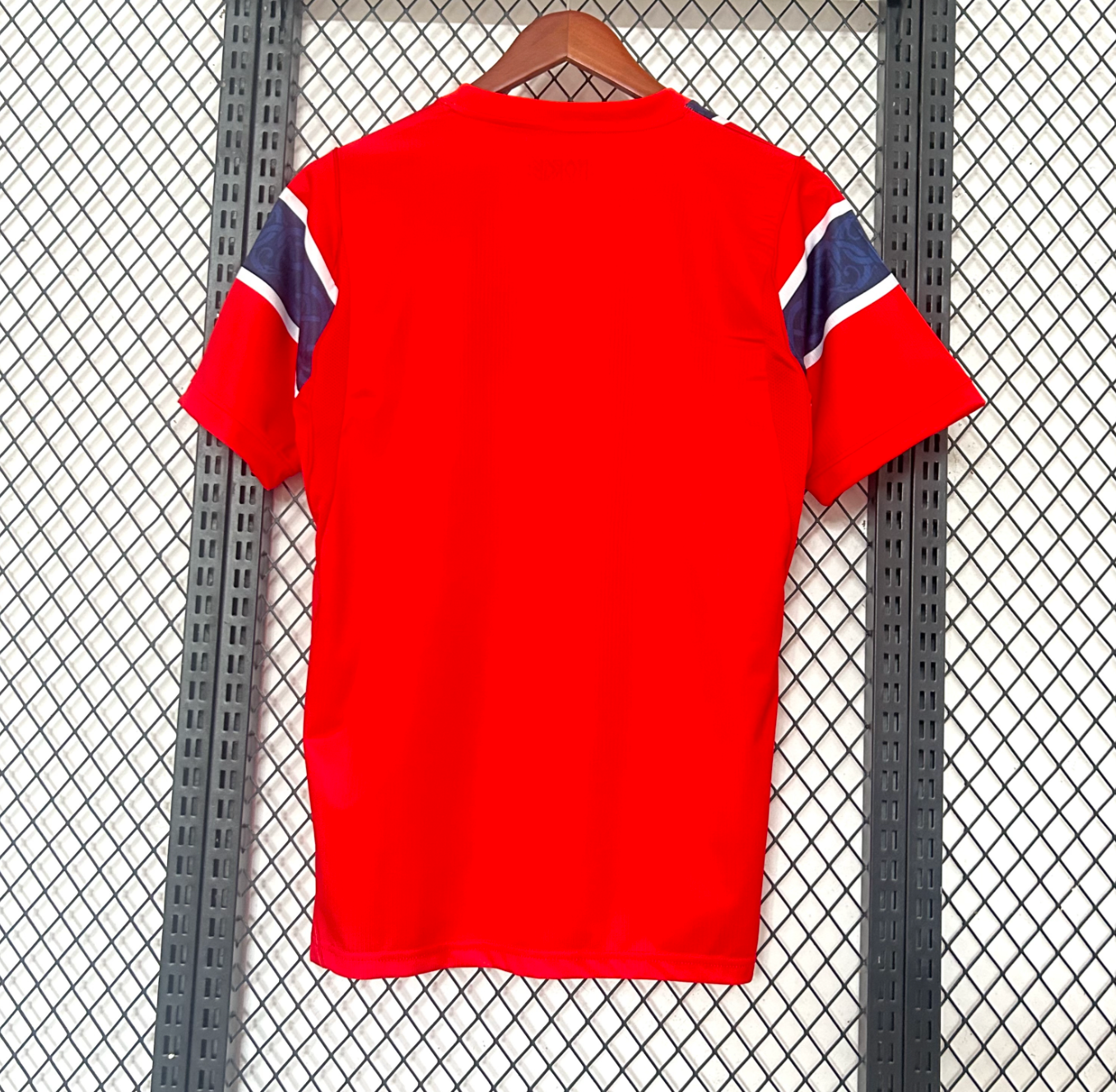 Norwegen WM Trikot 2026