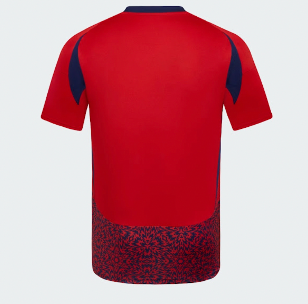 Equipación local Costa Rica 2024/2025