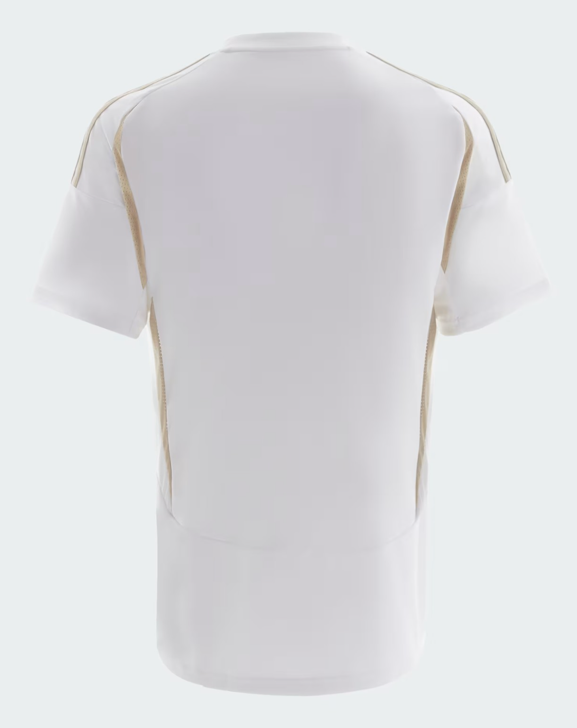 Al Nassr 2024-2025 drittes Trikot