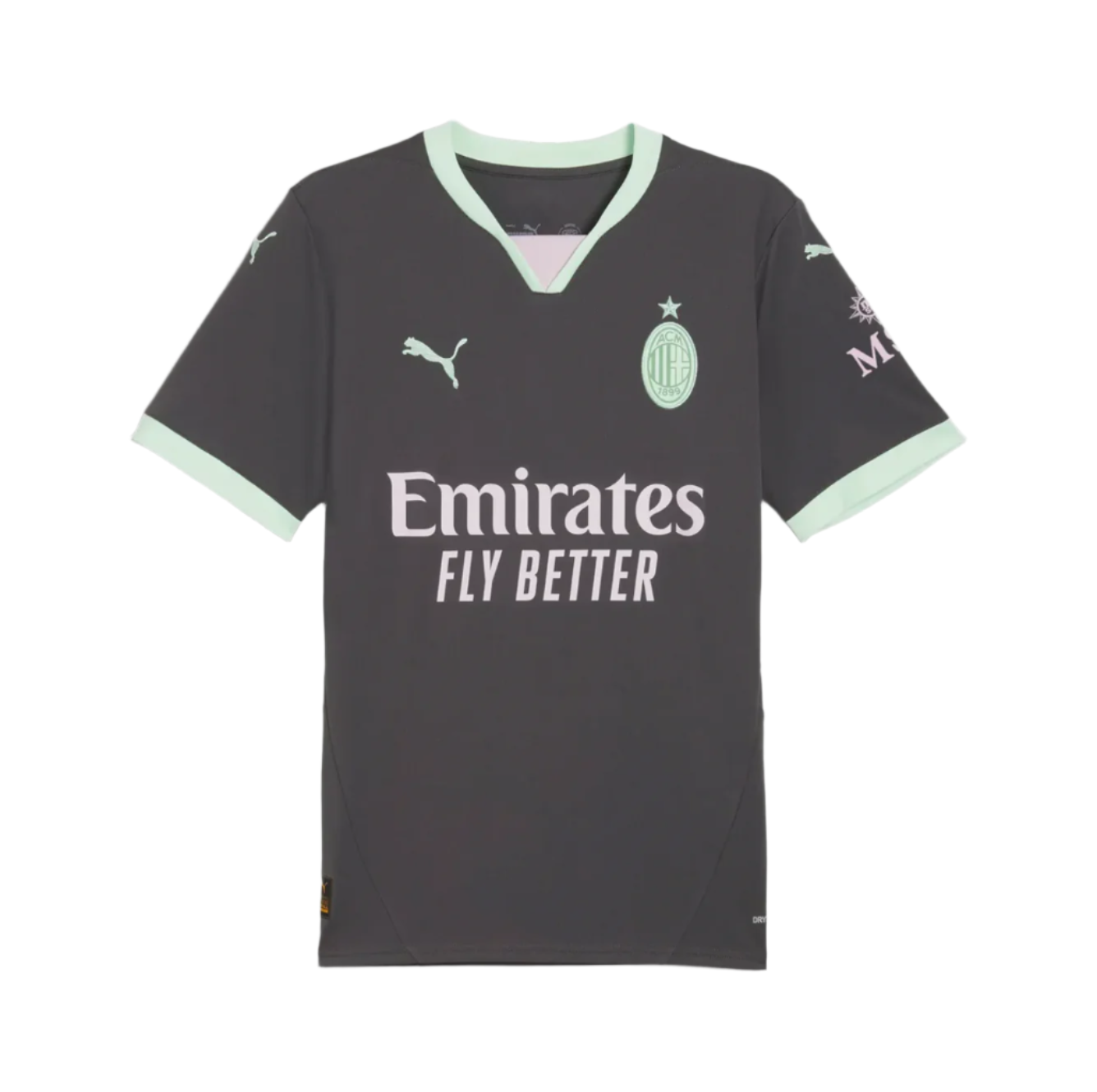 AC Milan Drittes Trikot 24/25 Grau und Grün
