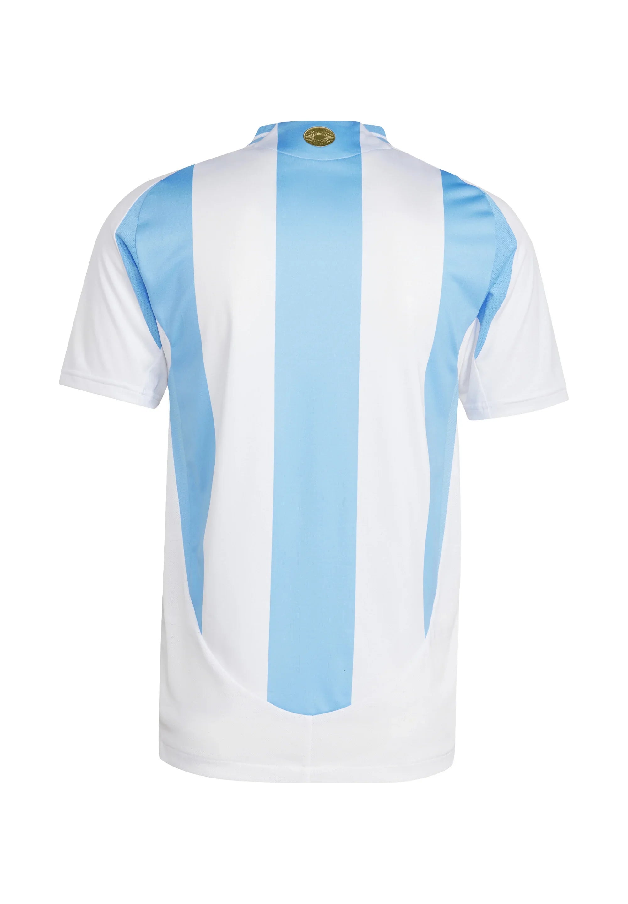 Equipación local Argentina 2024/2025