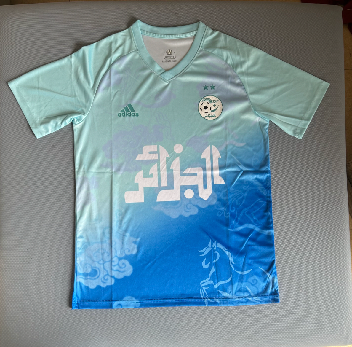 Maillot édition spéciale bleu clair Algérie 2025/2026