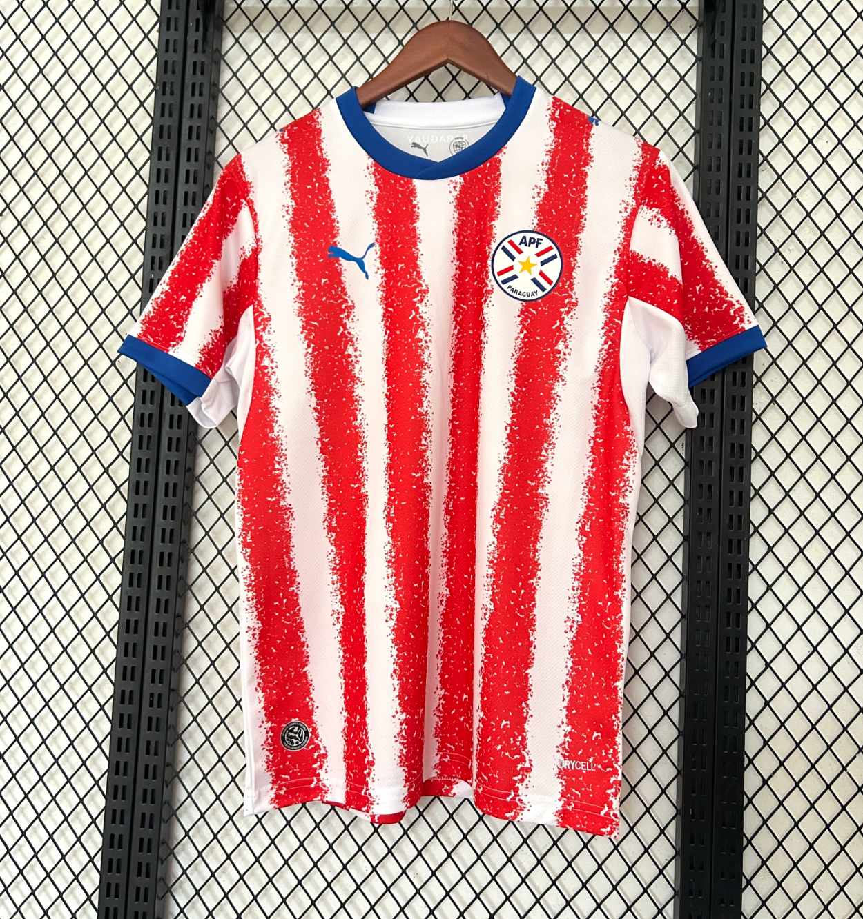 Divisa Paraguay Coppa del Mondo 2026