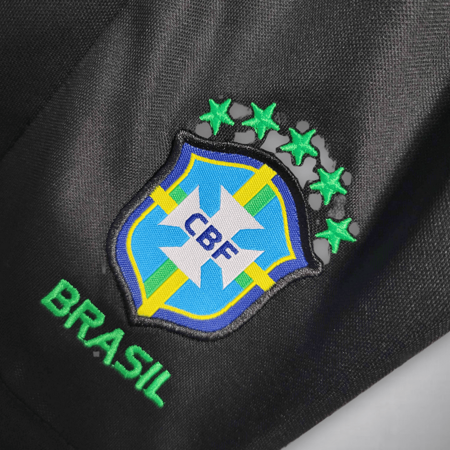 Brasilien Schwarzer Leopard