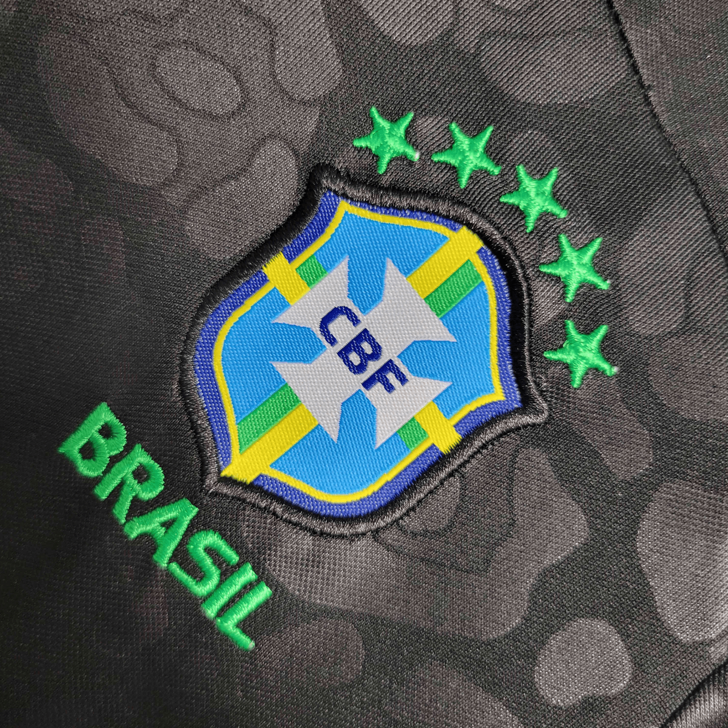 Brasilien Schwarzer Leopard